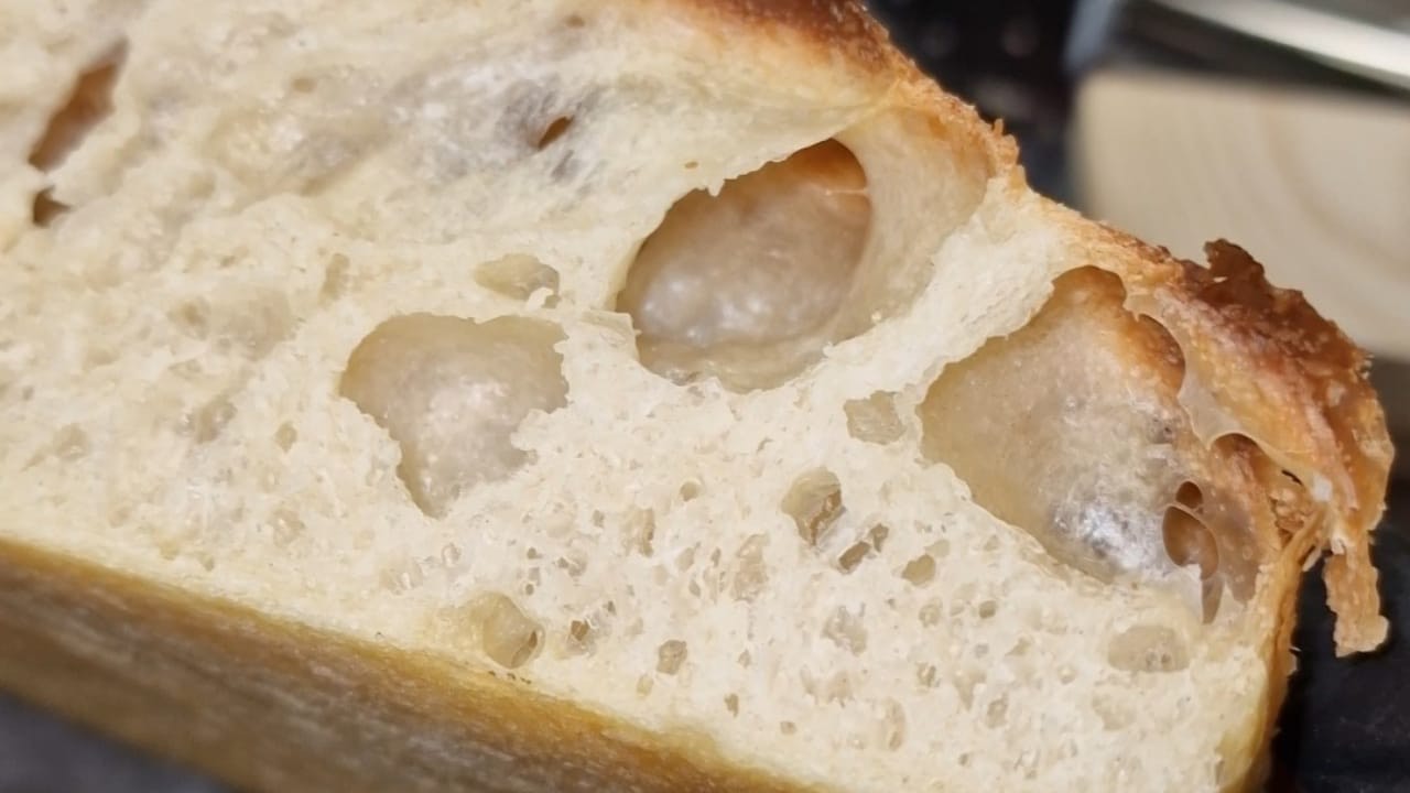 spuntino otvorenje 12 spuntino otvorenje 12