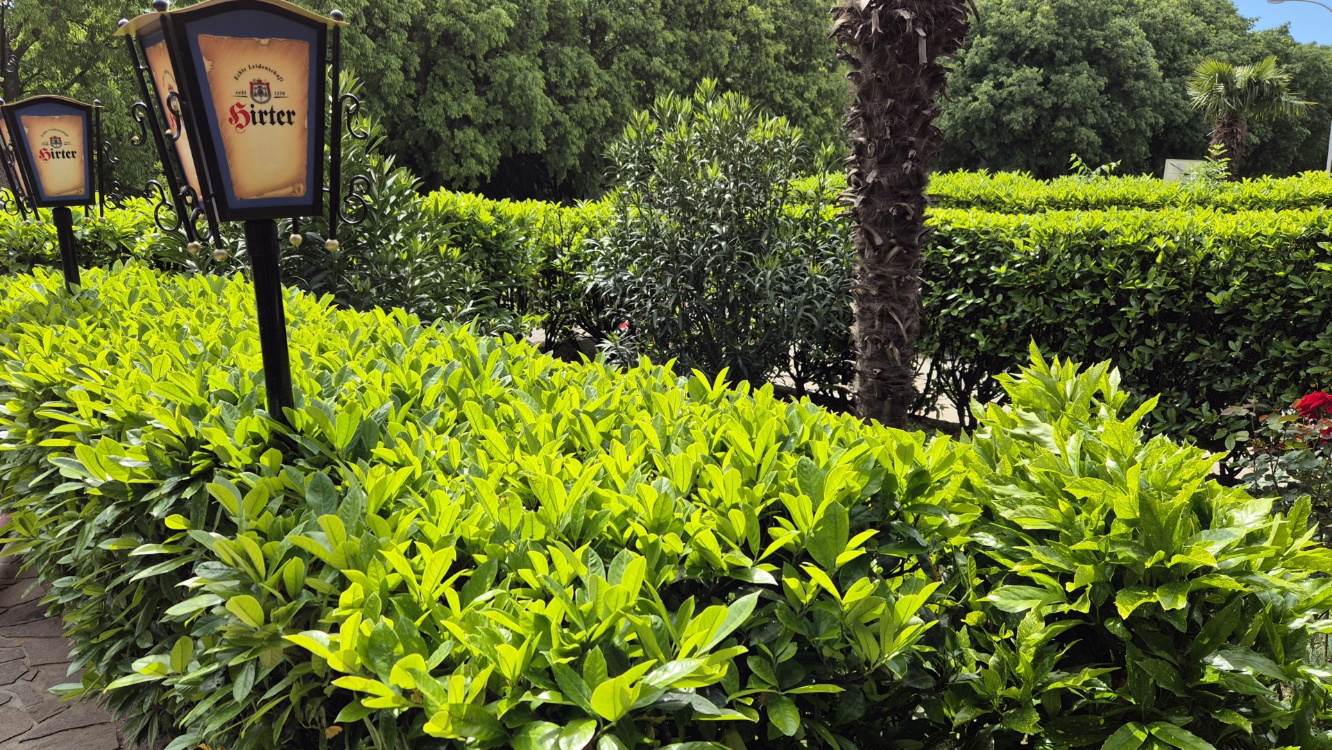 1000013163 1000013163