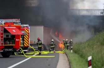 1280×1280-42bcbbf4-9d0c-11eb-8f97-cedfb09875dd (1)