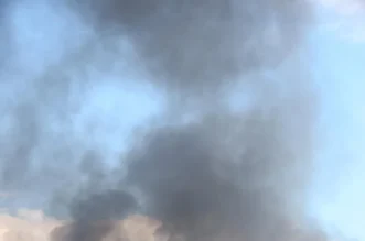 1280×1280-42bcbbf4-9d0c-11eb-8f97-cedfb09875dd (3)