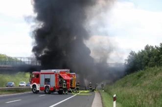 1280×1280-42bcbbf4-9d0c-11eb-8f97-cedfb09875dd