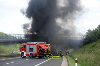 1280×1280-42bcbbf4-9d0c-11eb-8f97-cedfb09875dd (8)