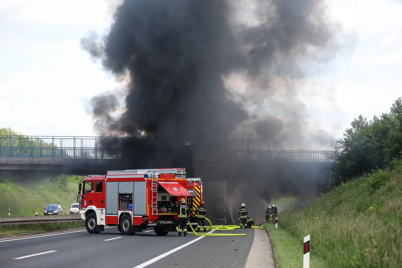 1280×1280-42bcbbf4-9d0c-11eb-8f97-cedfb09875dd (8)