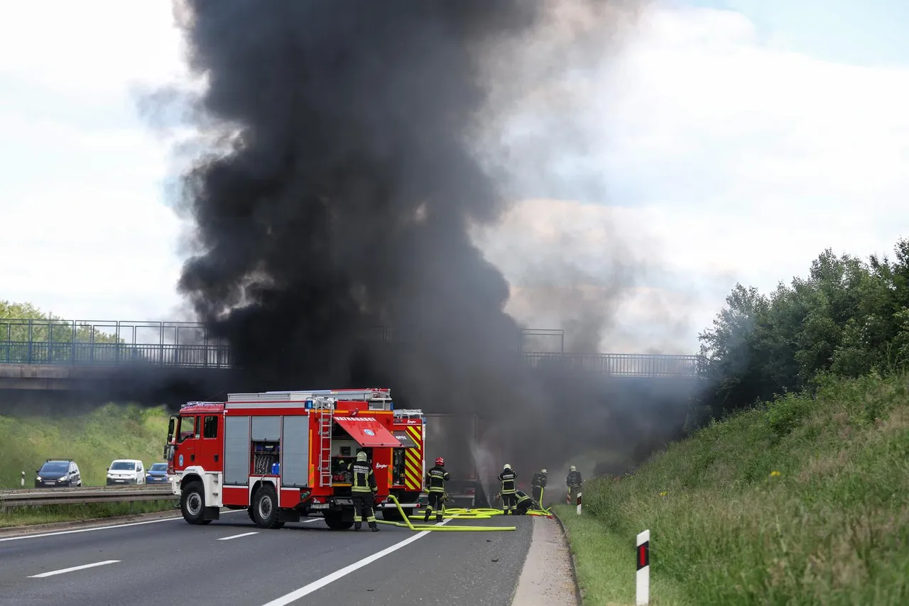 1280×1280-42bcbbf4-9d0c-11eb-8f97-cedfb09875dd