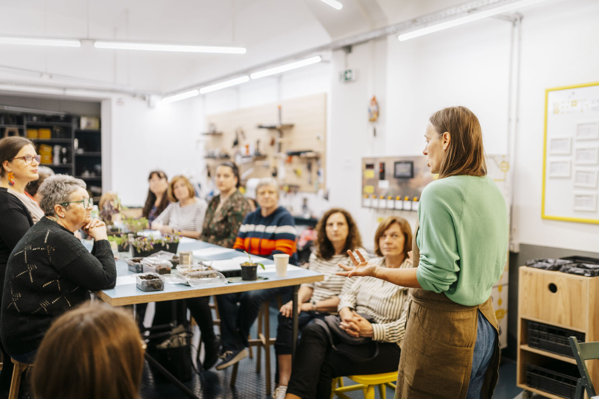 230525-kd-cistoca-001-scaled 230525-kd-cistoca-001-scaled