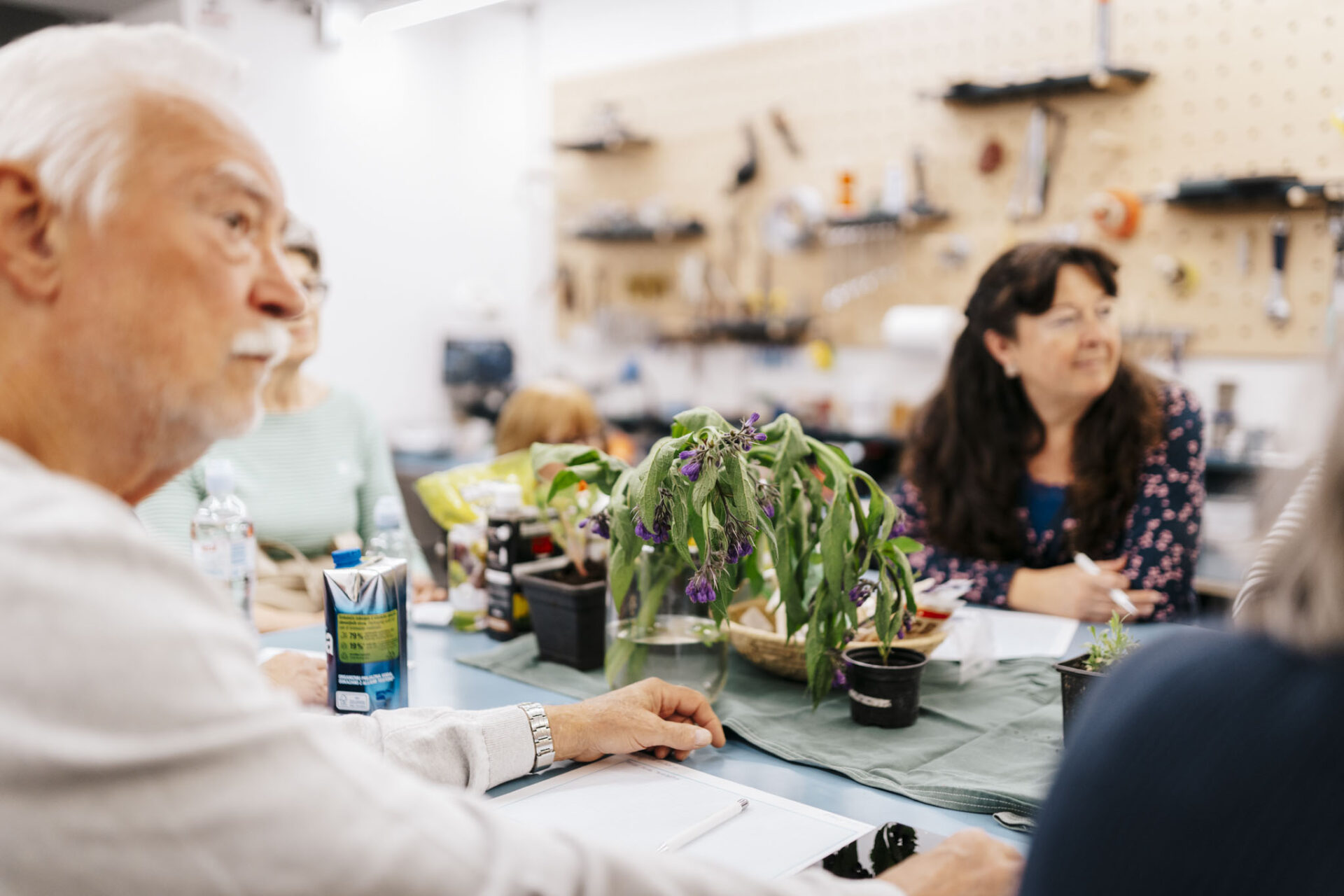 230525-kd-cistoca-002-scaled 230525-kd-cistoca-002-scaled