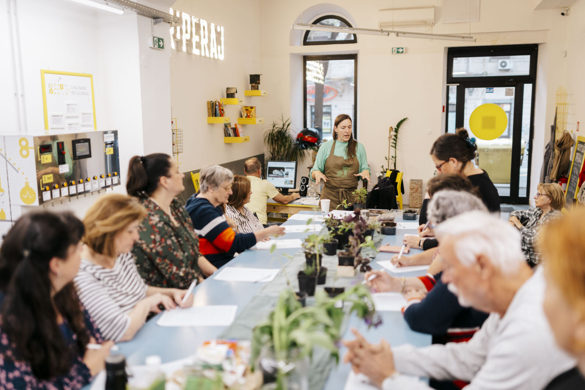 230525-kd-cistoca-003-scaled 230525-kd-cistoca-003-scaled