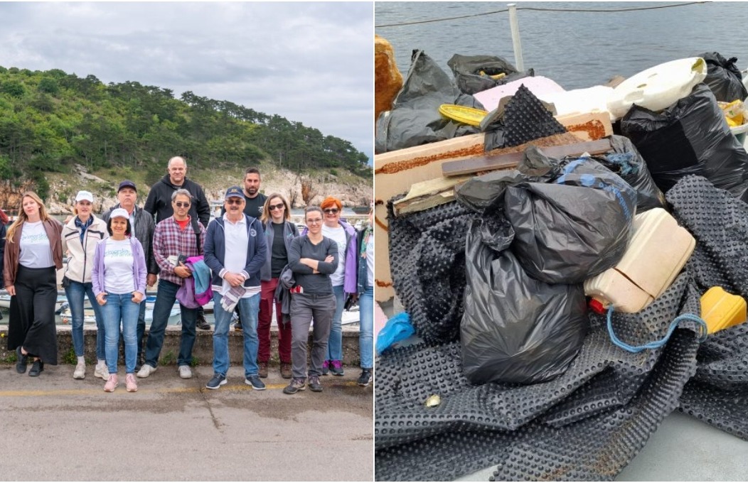 BeFunky-collage – 2025-05-22T153428.392 BeFunky-collage – 2025-05-22T153428.392