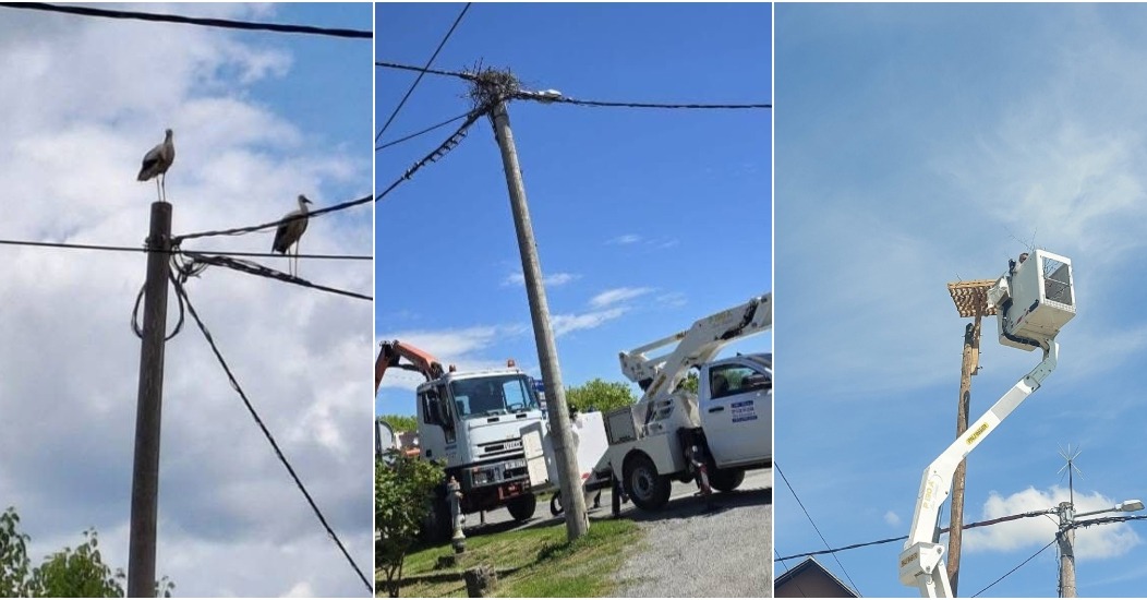 BeFunky-collage – 2025-05-27T140952.737