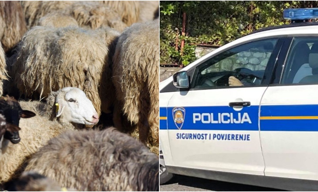 BeFunky-collage (47)