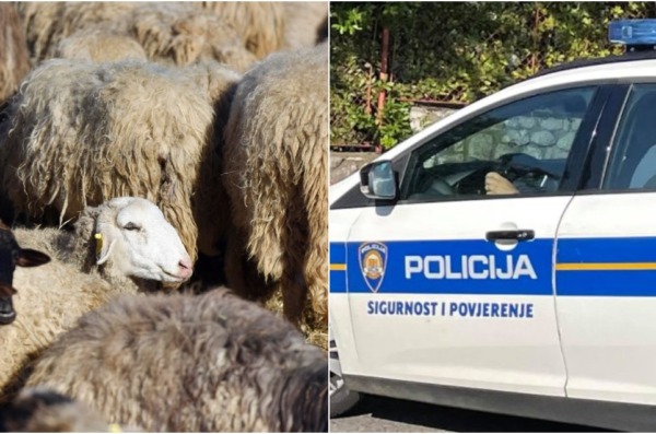 BeFunky-collage (47)