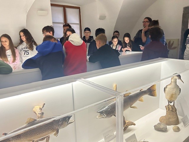 City-Nature-Challenge-1 City-Nature-Challenge-1