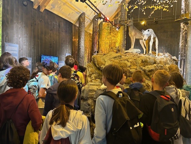 City-Nature-Challenge-2 City-Nature-Challenge-2