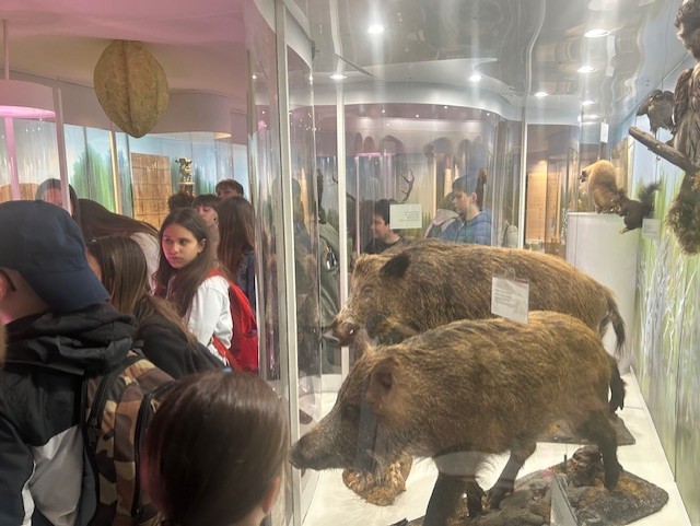 City-Nature-Challenge-3 City-Nature-Challenge-3