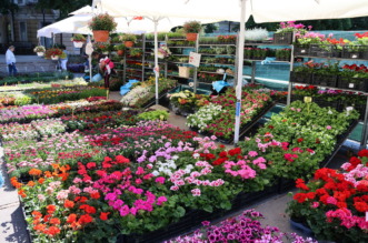 Cvjetni-sajam-2 Cvjetni-sajam-2