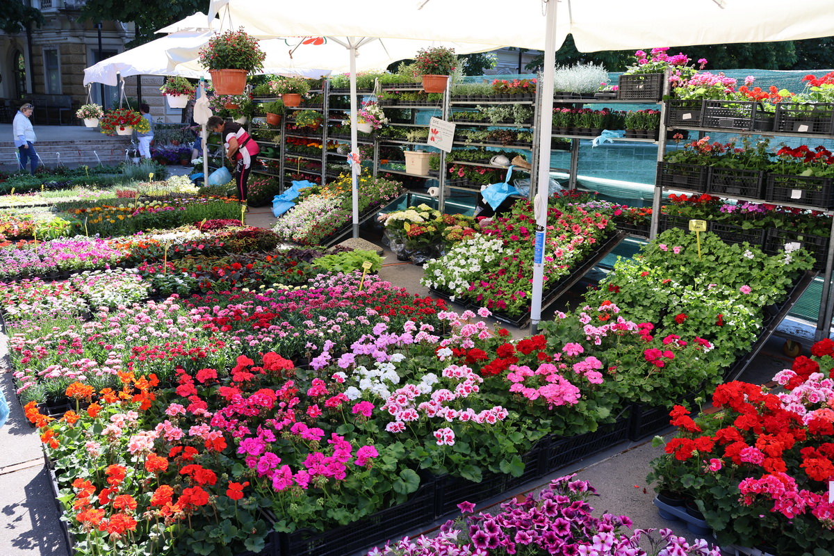 Cvjetni-sajam-2 Cvjetni-sajam-2