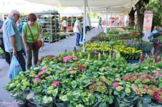 Cvjetni-sajam-3 Cvjetni-sajam-3