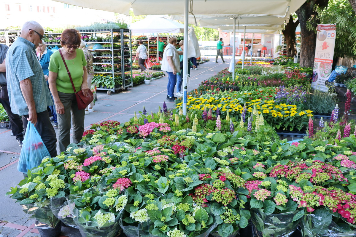 Cvjetni-sajam-3 Cvjetni-sajam-3