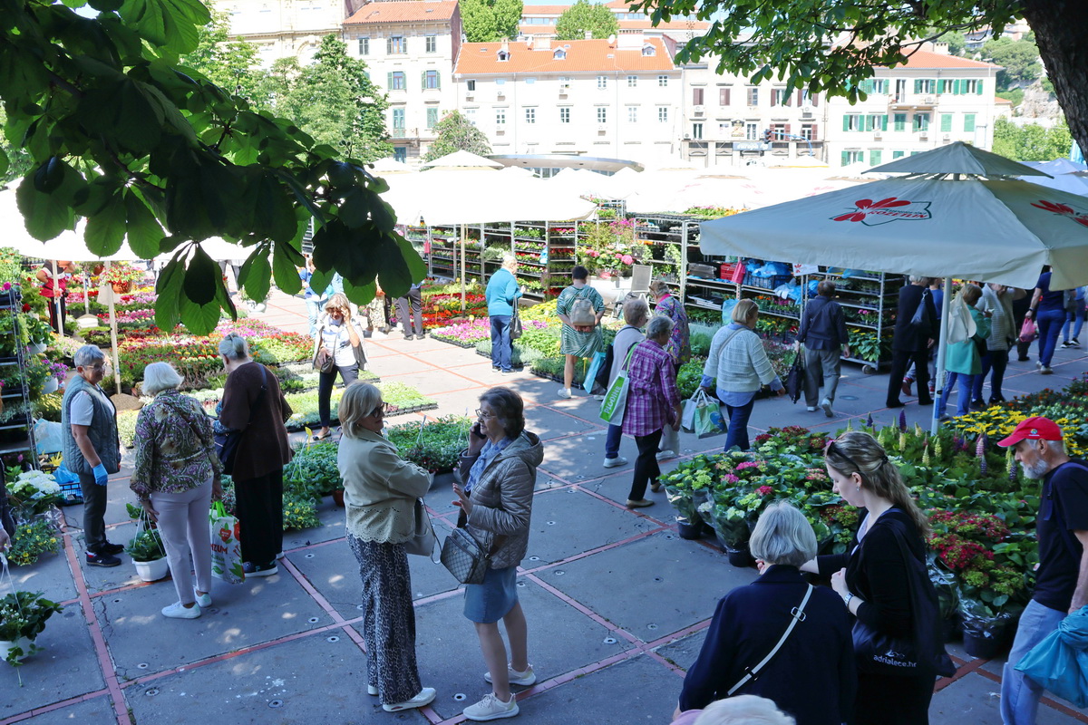 Cvjetni-sajam-4 Cvjetni-sajam-4