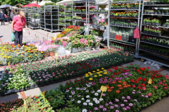 Cvjetni-sajam-5 Cvjetni-sajam-5