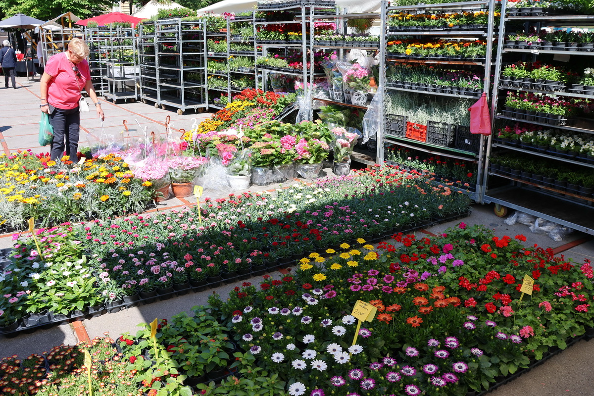 Cvjetni-sajam-5 Cvjetni-sajam-5