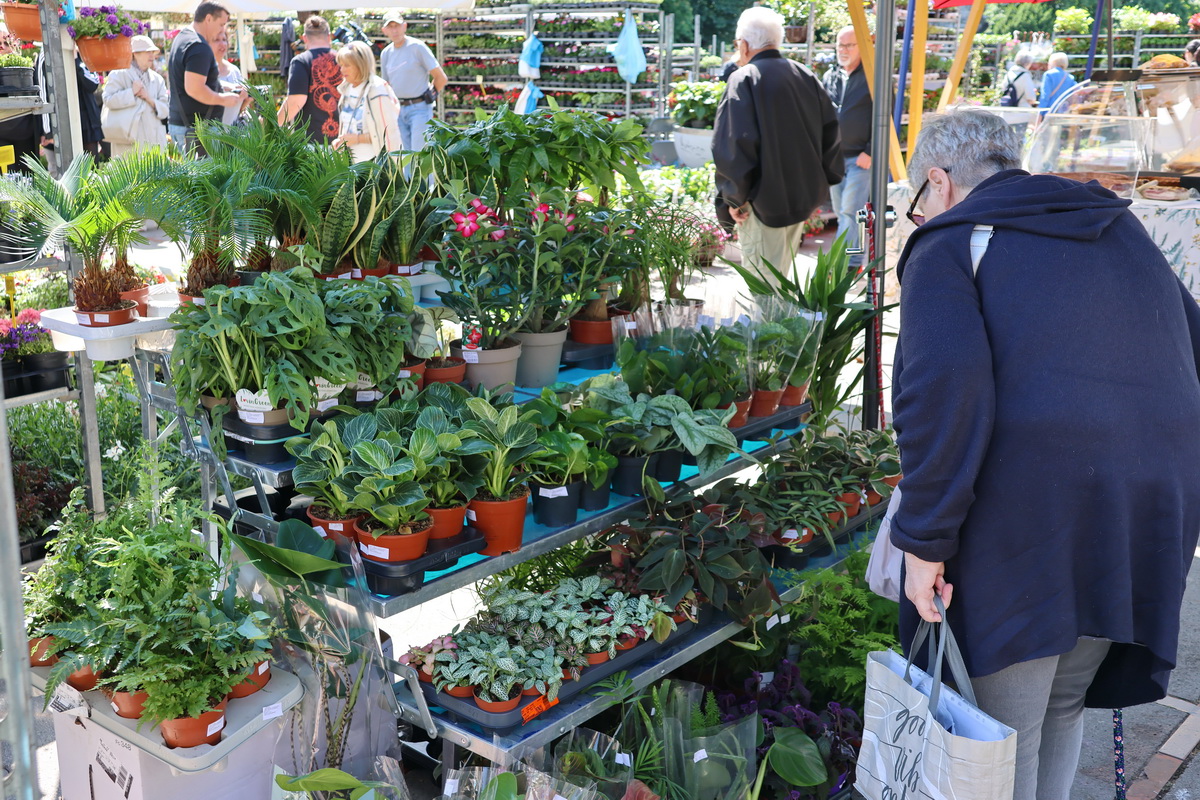 Cvjetni-sajam-6 Cvjetni-sajam-6