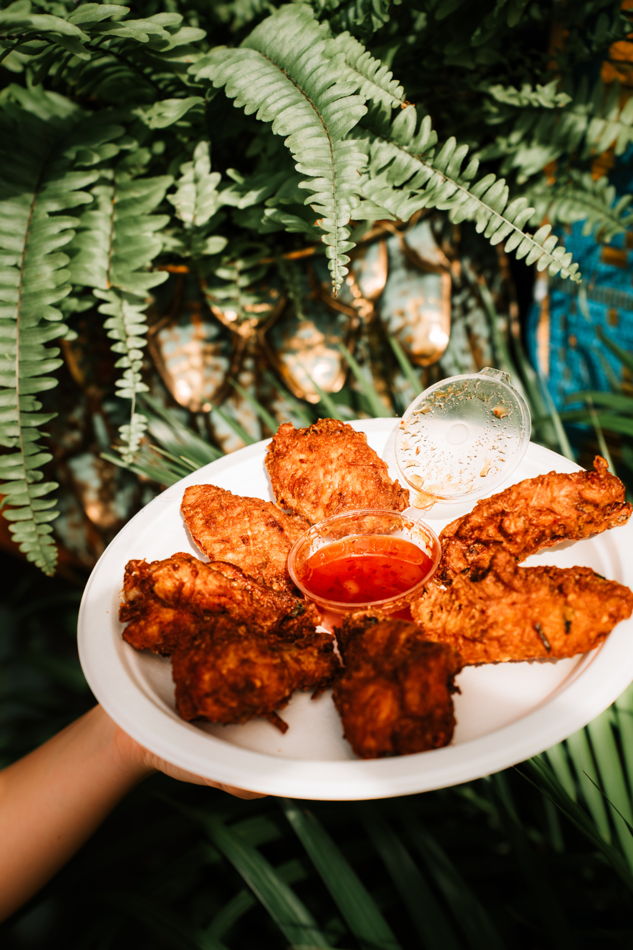 DSC07287-Enhanced-NR