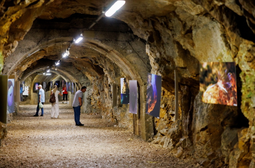 Izlozba-podvodne-fotografije-Iz-jadranskog-podmorja-3