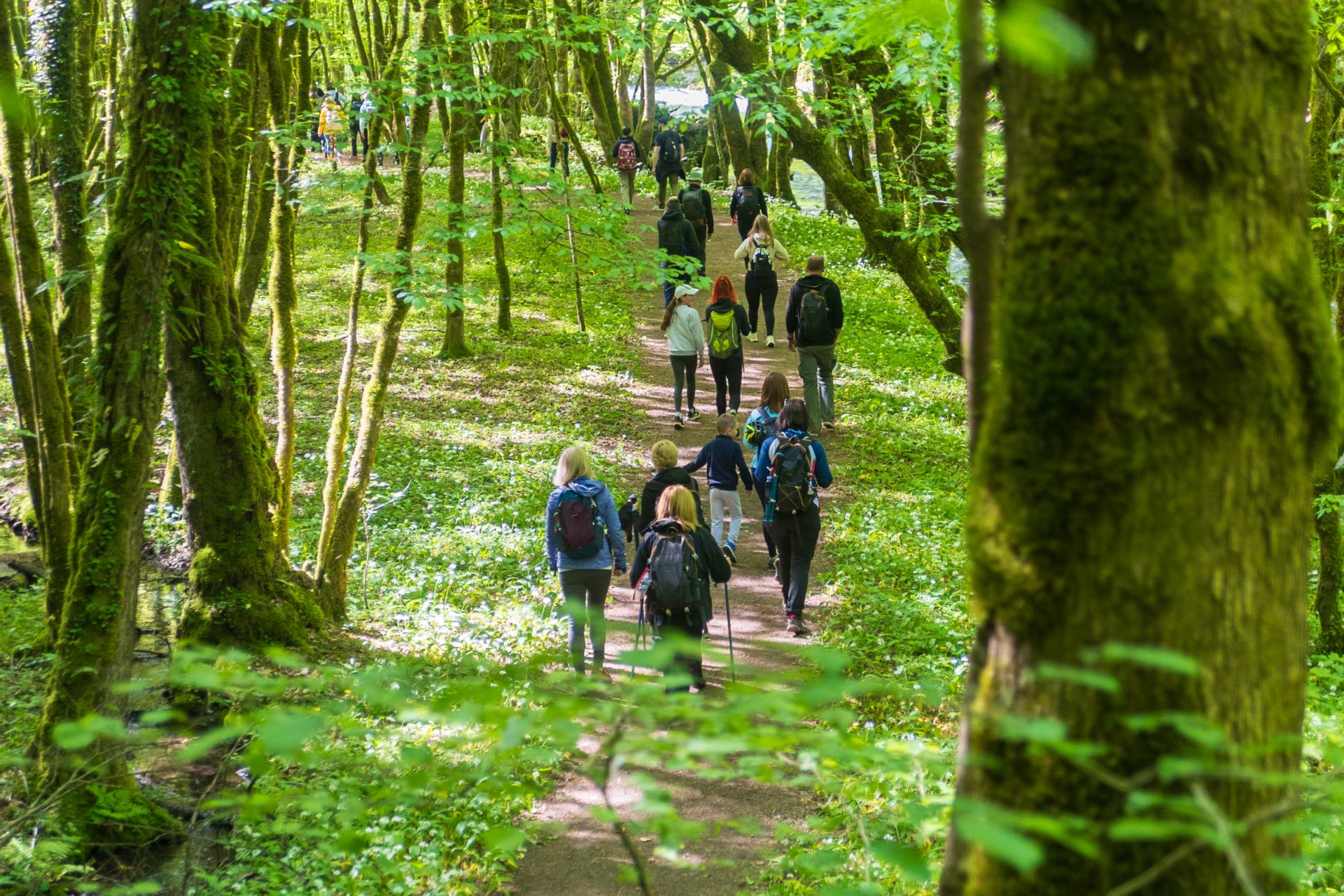 Lea Grgurić_Zeleni Vir2025_-7071