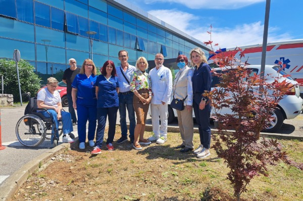 Sadnica zahvalnosti na Sušaku