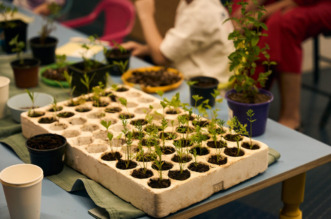 12-06-25-kd-cistoca-009-1280×853