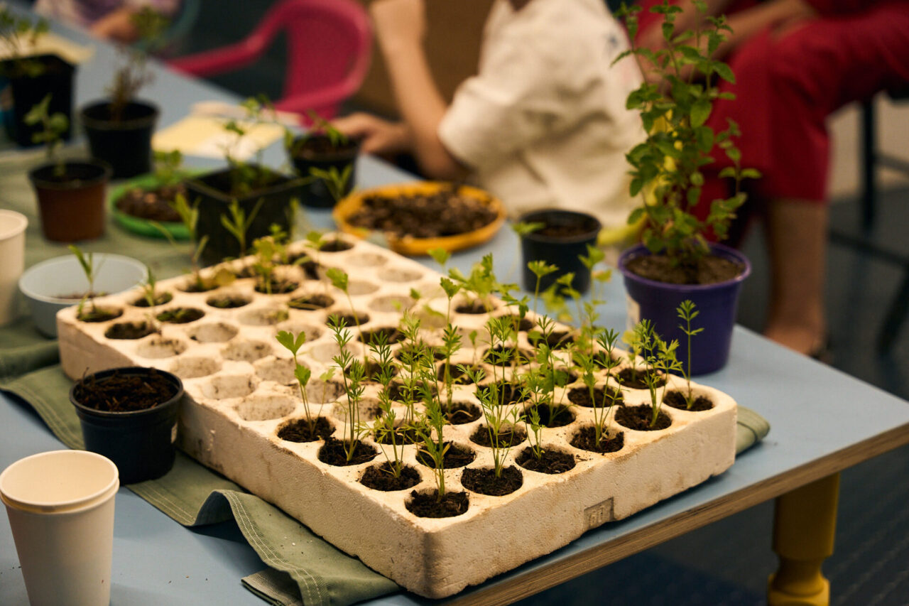 12-06-25-kd-cistoca-009-1280×853