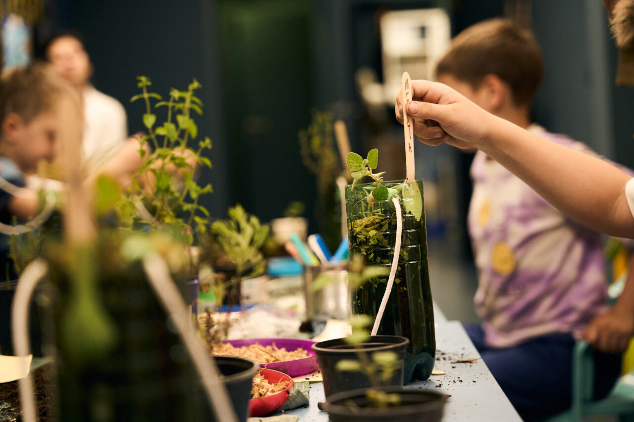 12-06-25-kd-cistoca-035-1280×853