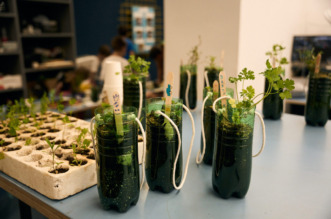 12-06-25-kd-cistoca-037-1280×853