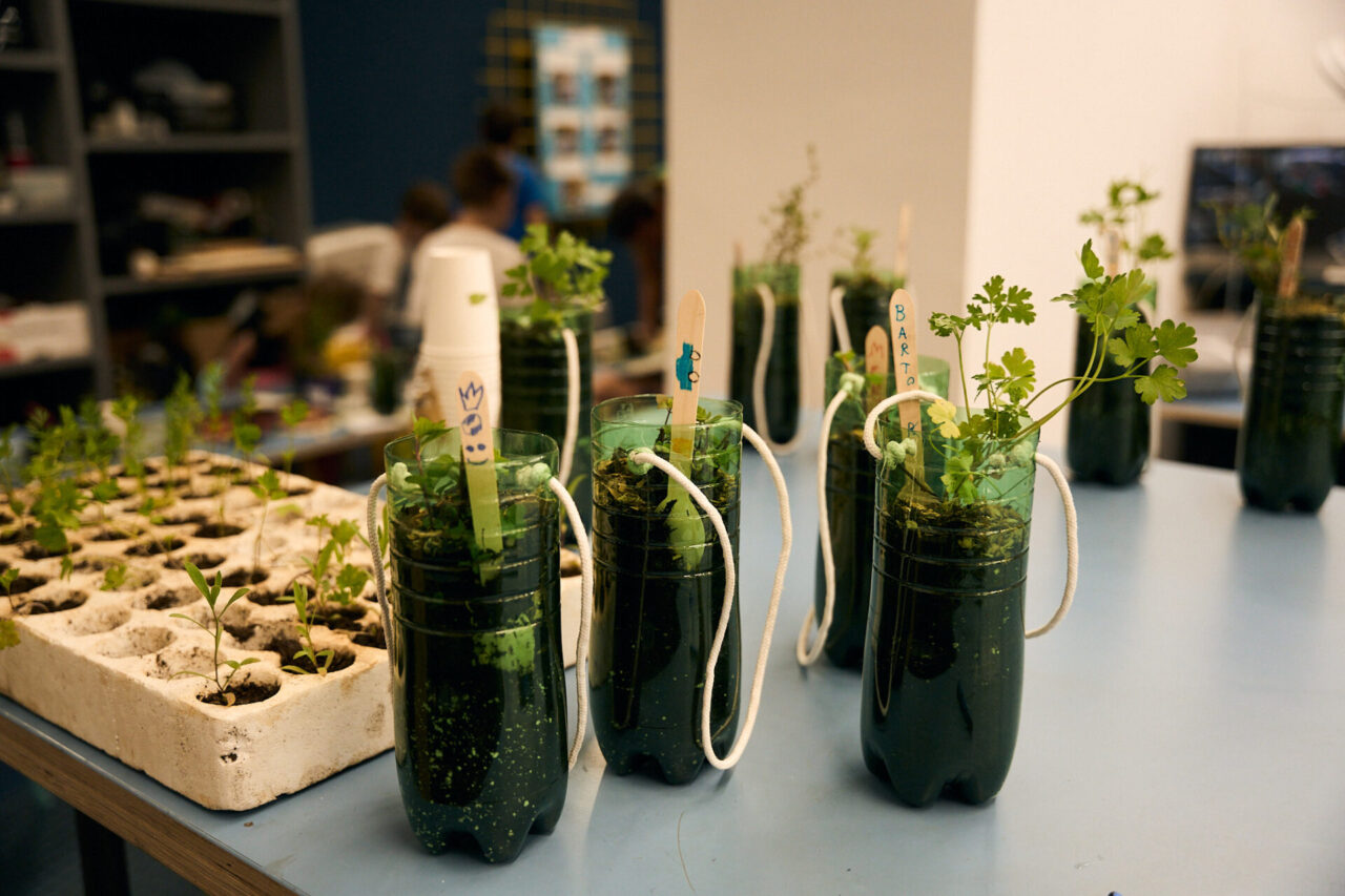 12-06-25-kd-cistoca-037-1280×853