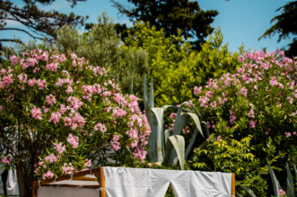 2025-06-05-VIBE-18 2025-06-05-VIBE-18