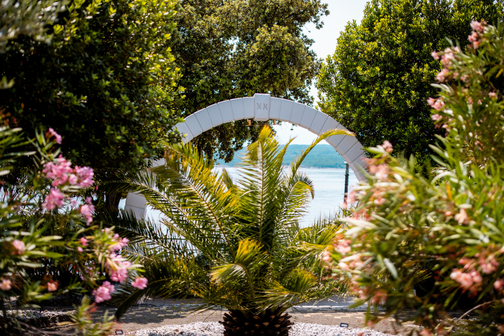 2025-06-05-VIBE-30 2025-06-05-VIBE-30