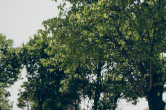 2025-06-12 VIBE-2 2025-06-12 VIBE-2