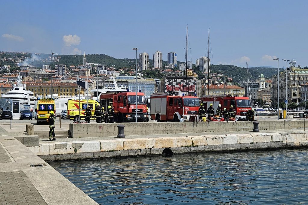 20250626_120858-1024×683