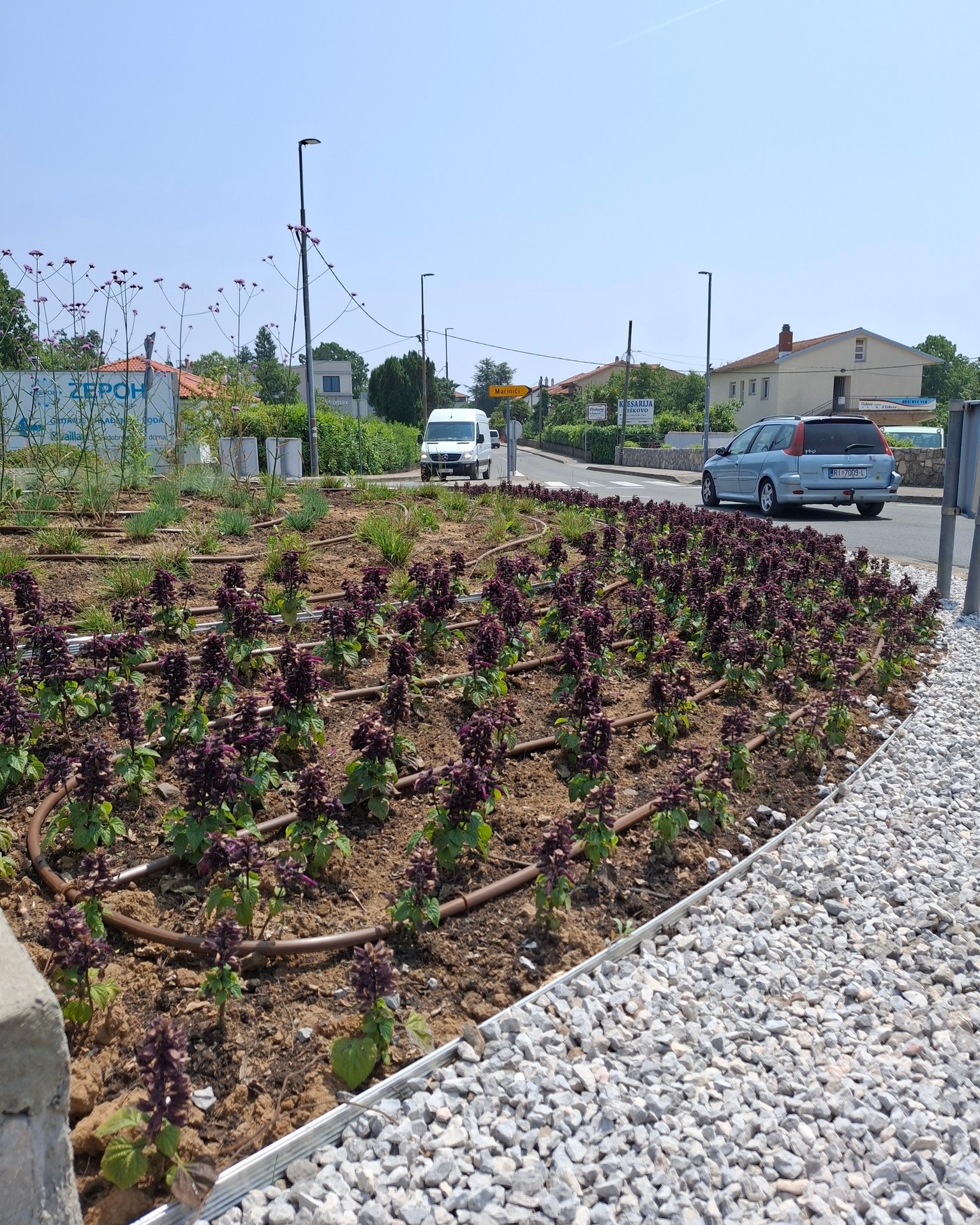 505953134_1082812756996595_989435804619498868_n 505953134_1082812756996595_989435804619498868_n