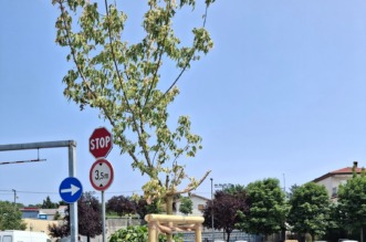 506390558_1082812686996602_8394747809321208234_n 506390558_1082812686996602_8394747809321208234_n