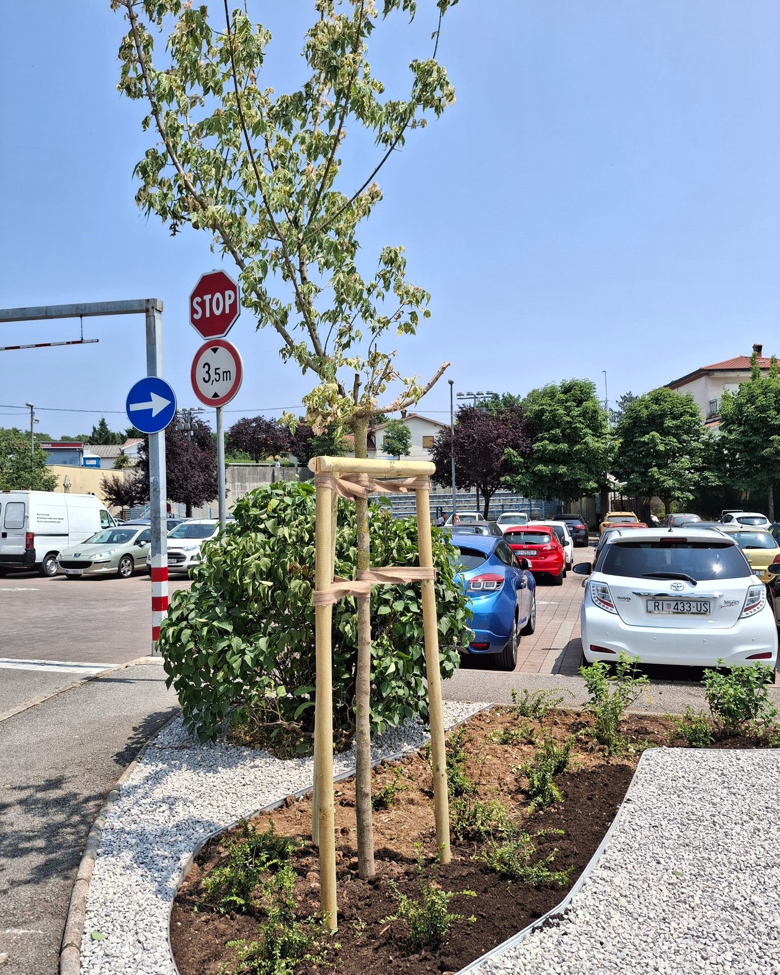 506390558_1082812686996602_8394747809321208234_n 506390558_1082812686996602_8394747809321208234_n