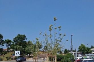 506806895_1082812703663267_1467818926117640318_n 506806895_1082812703663267_1467818926117640318_n