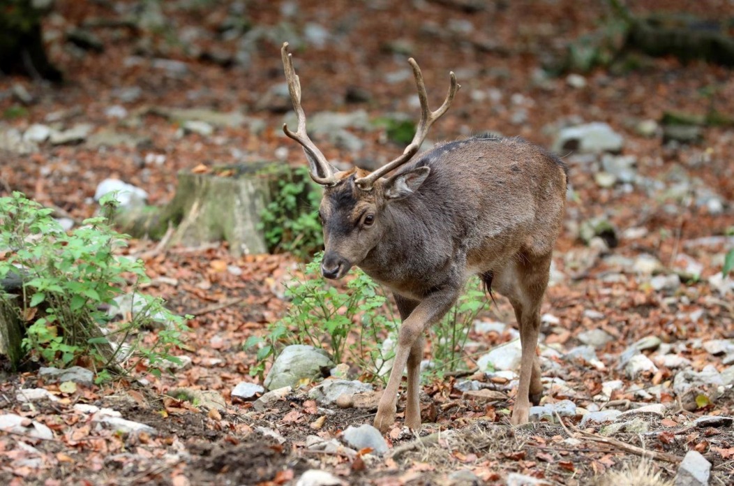 60a82a73-a65b-4d3e-941b-49ee08e7c8ac