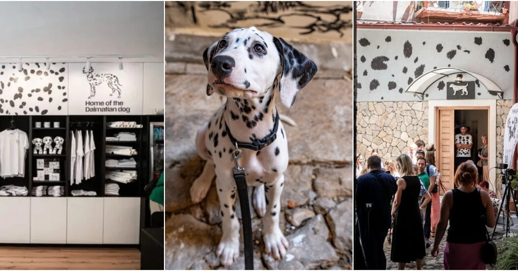 BeFunky-collage (20)