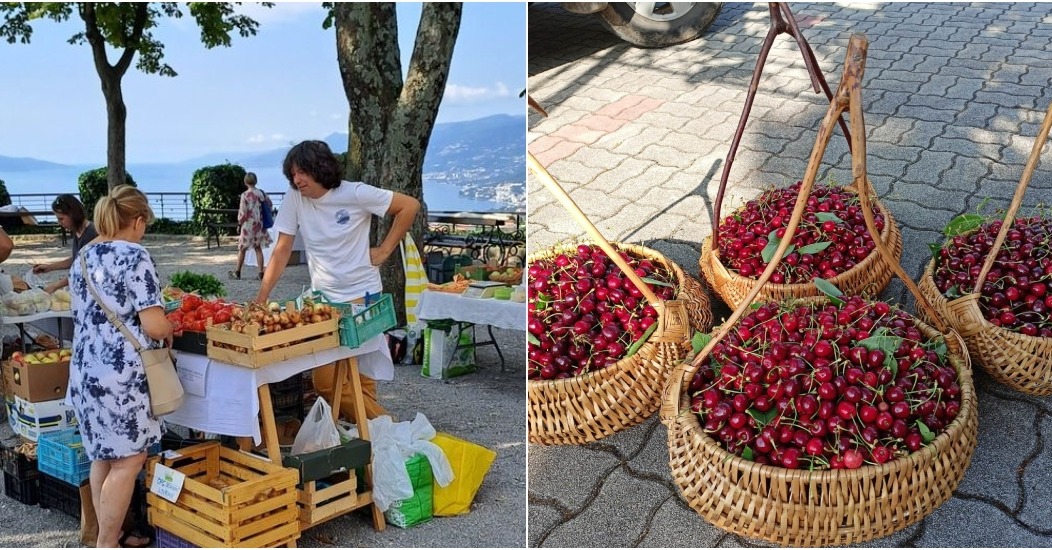 BeFunky-collage (23) BeFunky-collage (23)