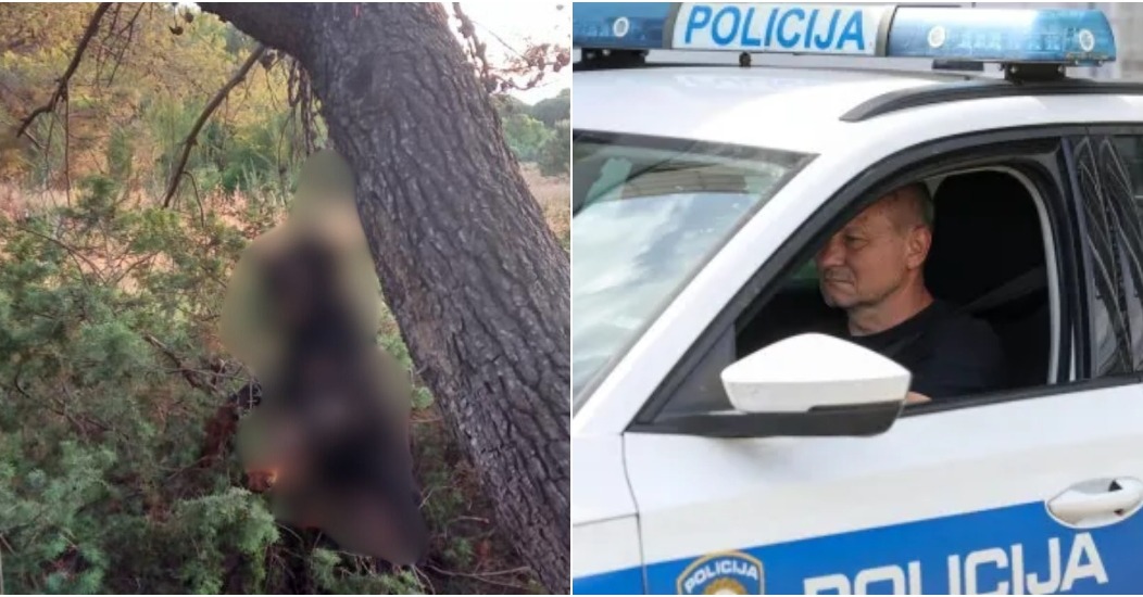 BeFunky-collage (38)