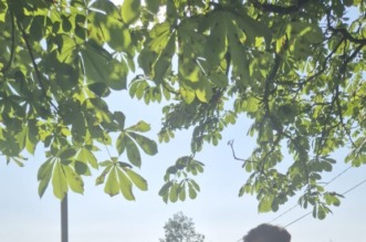 Ex-Tempore-2025-11-577×1024 Ex-Tempore-2025-11-577×1024