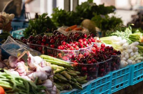 Ilustrativna Placa tržnica-4