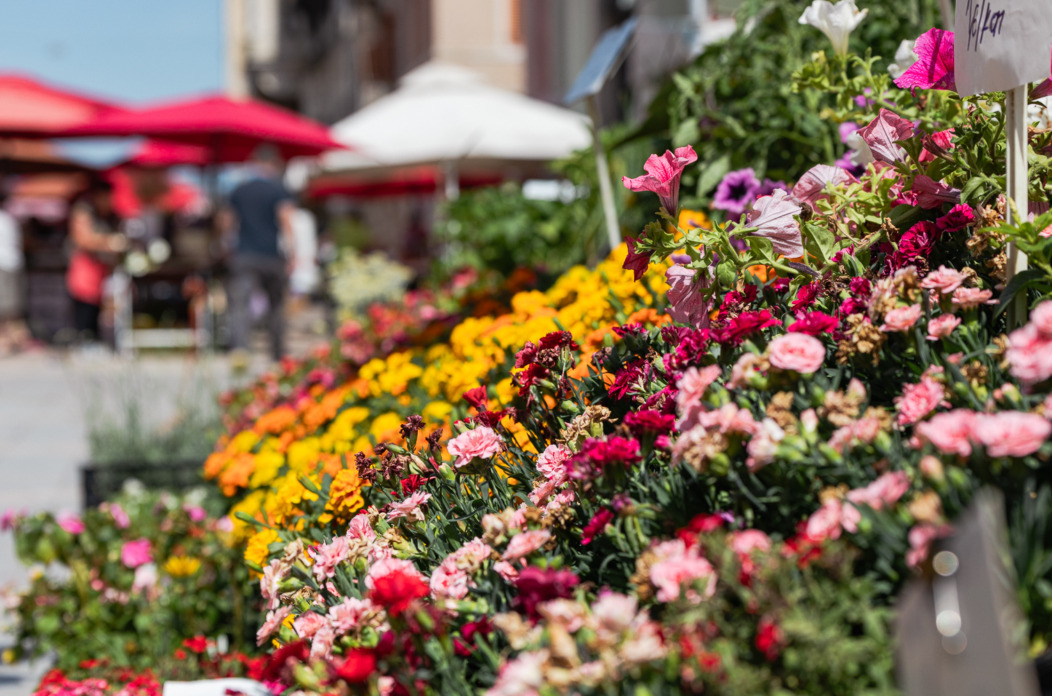 Ilustrativna Placa tržnica cvijeće-6